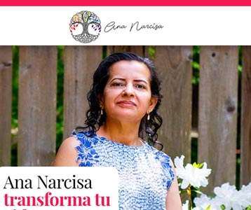 Portfolio 20 narcisa web design rocket web designer - Professional Website Design Company