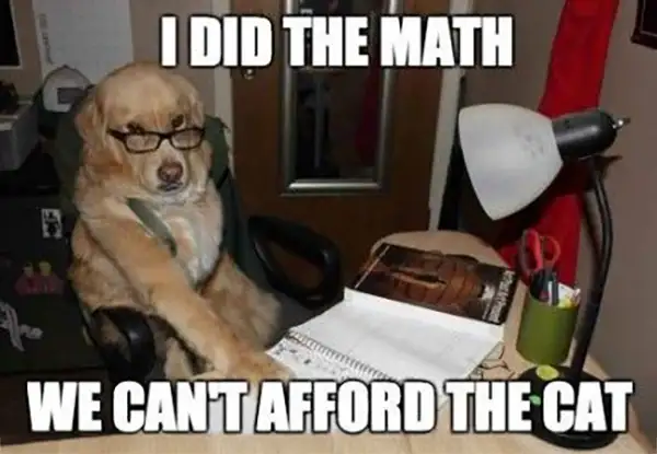 How to Save Money on Web Design cant afford meme - Professional Website Design Company