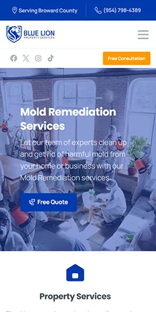 Examples of Responsive Web Design - Mobile