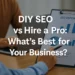 DIY SEO vs Hire a Pro: What’s Best for Your Business in 2025?