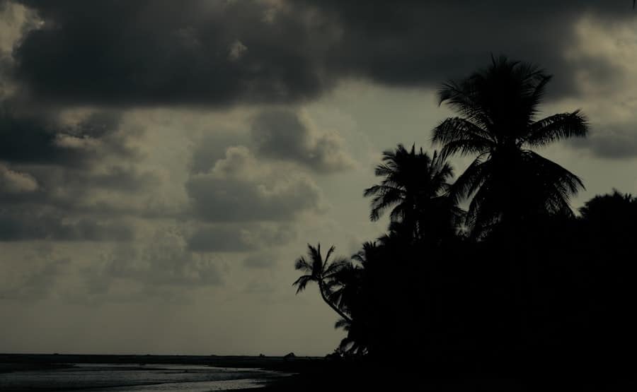 Hurricane-Season Marketing for South Florida (Start Now, Not in June) - Rocket Web Designer