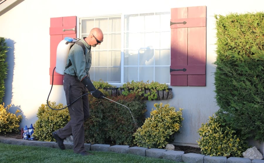Local SEO for Pest Control Companies in South Florida - Rocket Web Designer