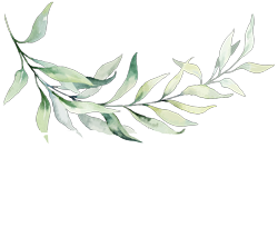 Floreana Photography logo, light variation