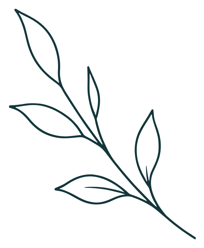Women's Health of Greenwich botanical mark in deep teal