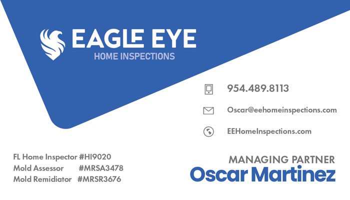 Eagle Eye Home Inspections business card front by Rocket Web Designer