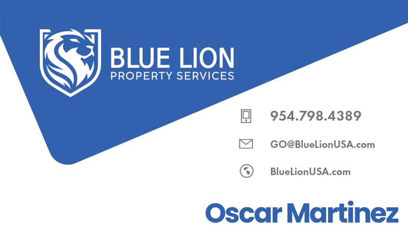 Blue Lion business card front by Rocket Web Designer