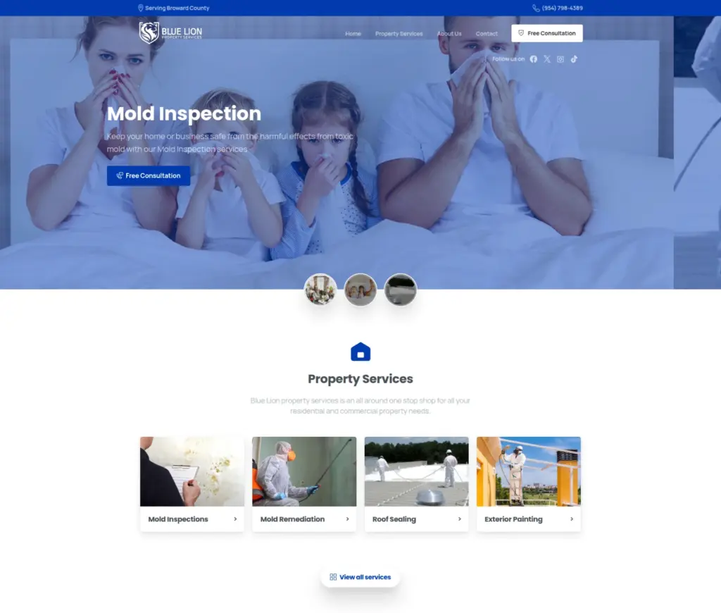 Blue Lion website by Rocket Web Designer