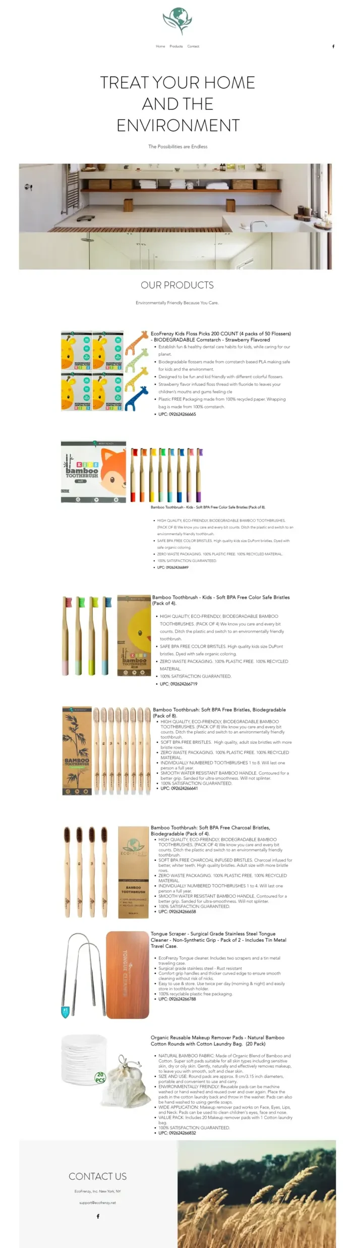 Eco Frenzy website before the redesign